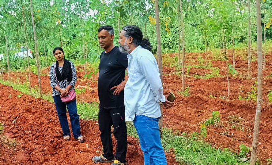 Sustainable Projects